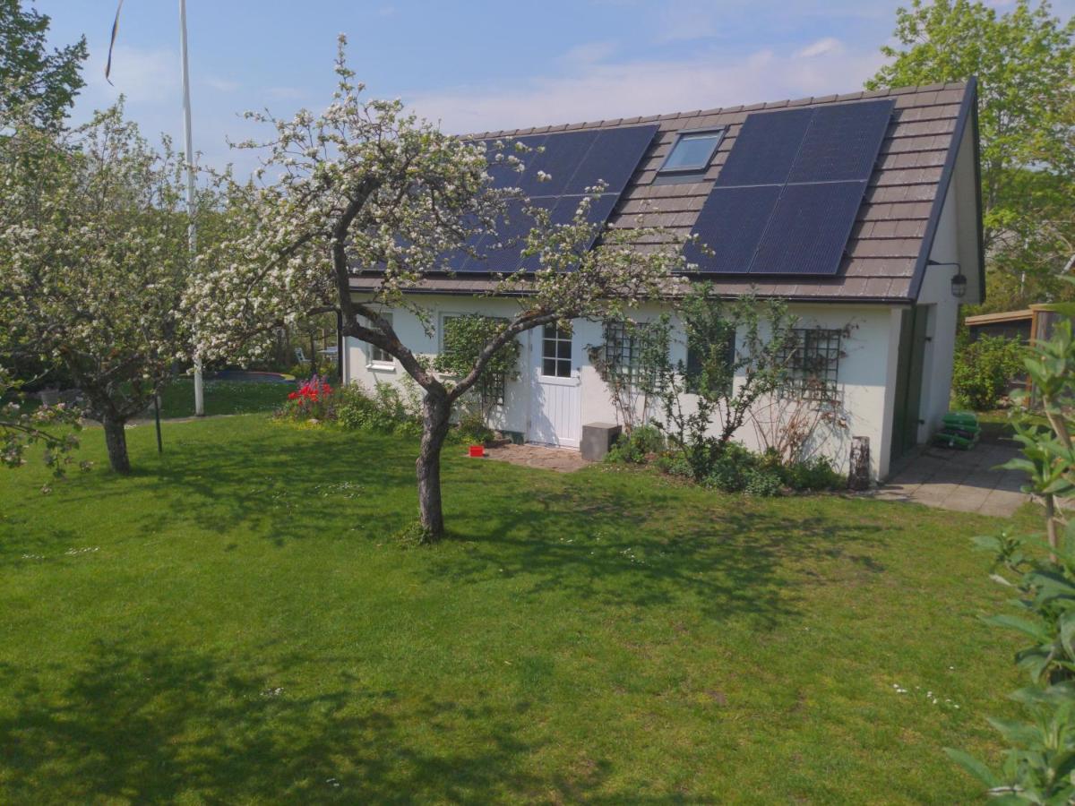 Lillan Hotel Torna Hallestad Kültér fotó